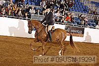 09usn-19294 proof