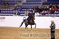 09usn-00029 proof