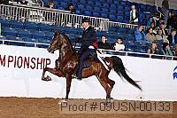 09usn-00133 proof