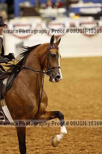 Proof 09usn-15369