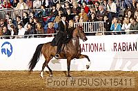 09usn-15411 proof