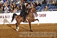 09usn-15416 proof