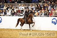 09usn-15418 proof