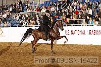 09usn-15422 proof