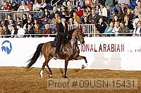 09usn-15431 proof