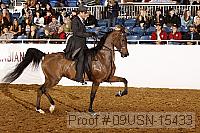 09usn-15433 proof