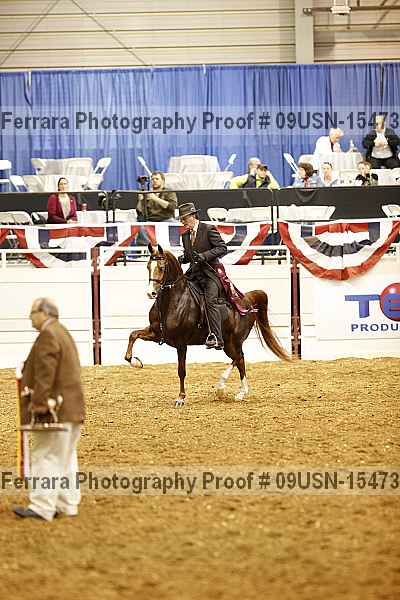 Proof 09usn-15473