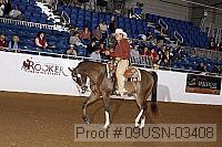 09usn-03408 proof