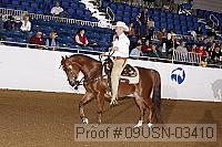 09usn-03410 proof