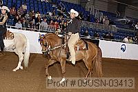 09usn-03413 proof