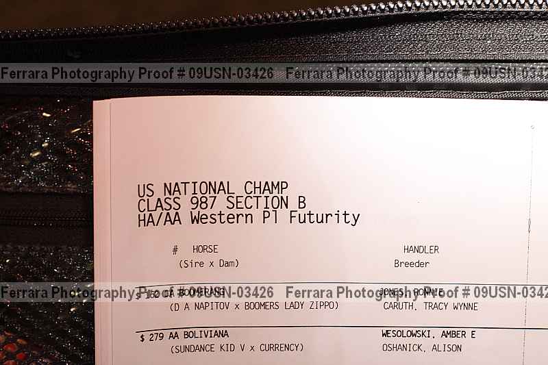 Proof 09usn-03426