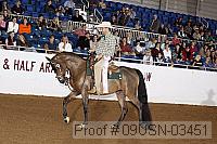 09usn-03451 proof
