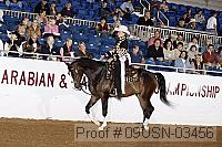 09usn-03456 proof