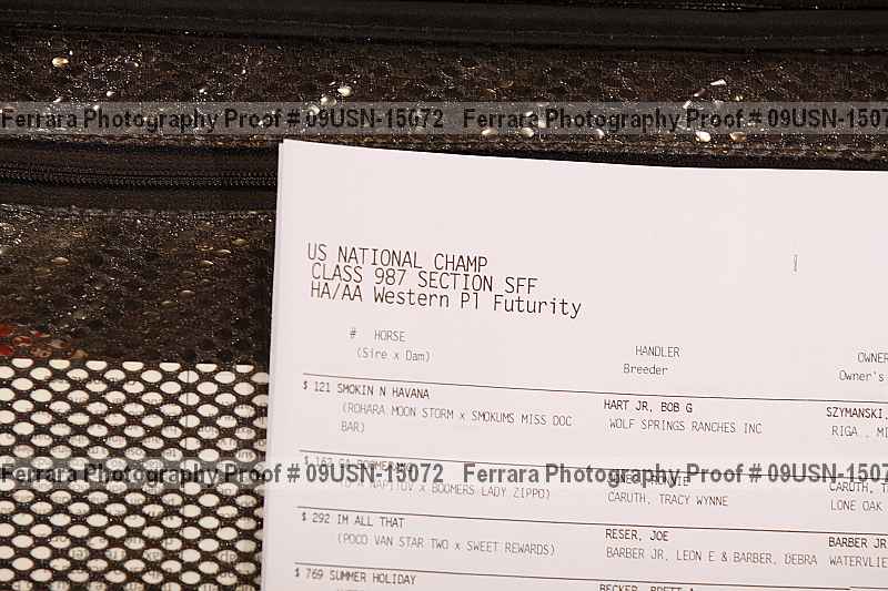 Proof 09usn-15072