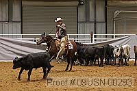 09usn-00293 proof