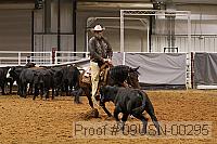 09usn-00295 proof
