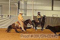 09usn-02442 proof