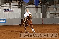 09usn-11342 proof