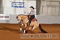 09usn-11383 proof