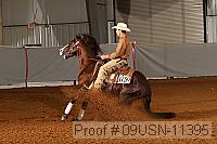 09usn-11395 proof