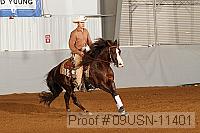 09usn-11401 proof