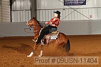 09usn-11404 proof