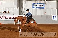 09usn-11413 proof