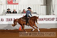 09usn-11415 proof