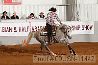 09usn-11442 proof