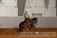 09usn-11451 proof