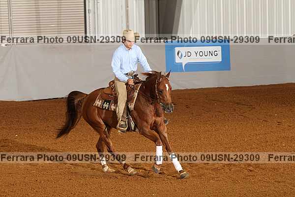 Proof 09usn-29309