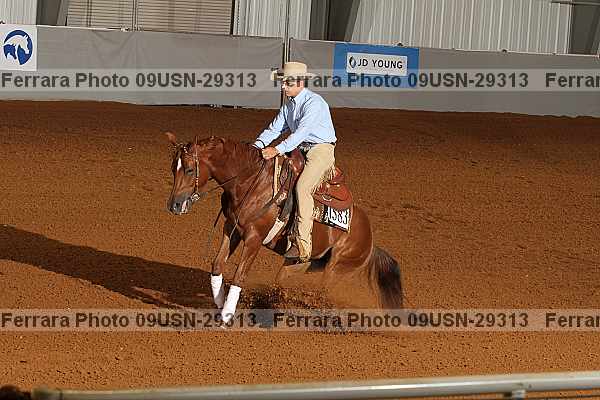 Proof 09usn-29313