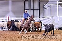 09usn-00381 proof
