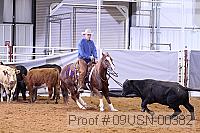09usn-00382 proof