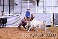 09usn-00383 proof