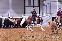 09usn-00385 proof