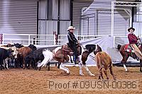 09usn-00386 proof