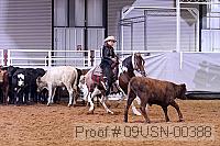 09usn-00388 proof
