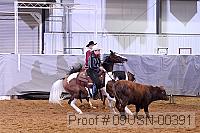 09usn-00391 proof