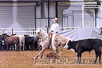 09usn-00395 proof