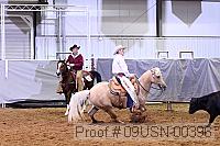09usn-00396 proof