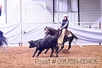 09usn-00405 proof