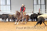 09usn-02521 proof