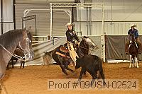 09usn-02524 proof