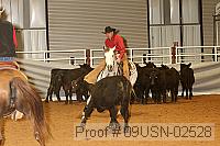 09usn-02528 proof