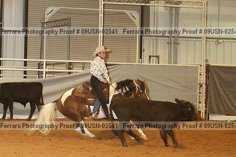 Proof 09usn-02541