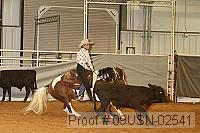 09usn-02541 proof
