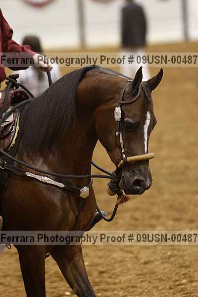 Proof 09usn-00487