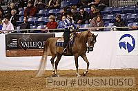 09usn-00510 proof
