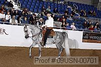 09usn-00701 proof